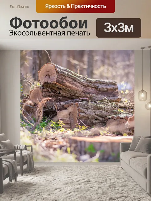 Фотообои Лес