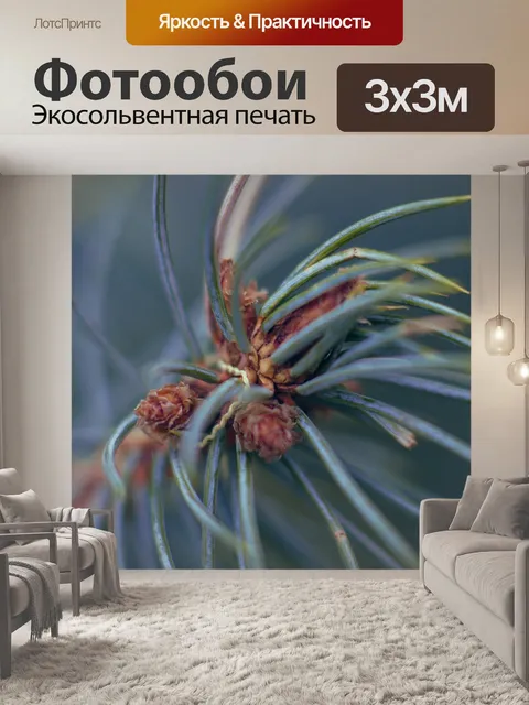 Фотообои Хвоя