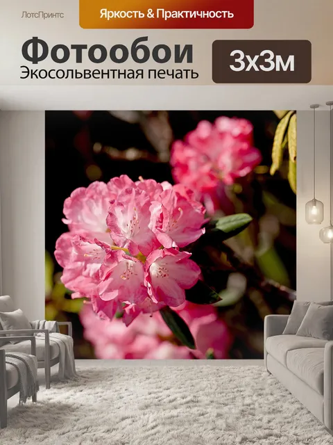 Фотообои Цветы