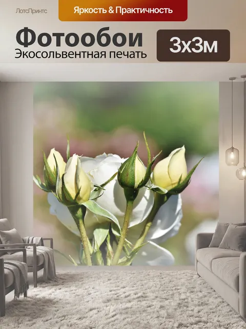 Фотообои Роза
