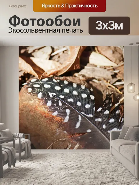 Фотообои перо цесарки, лежащее на камне