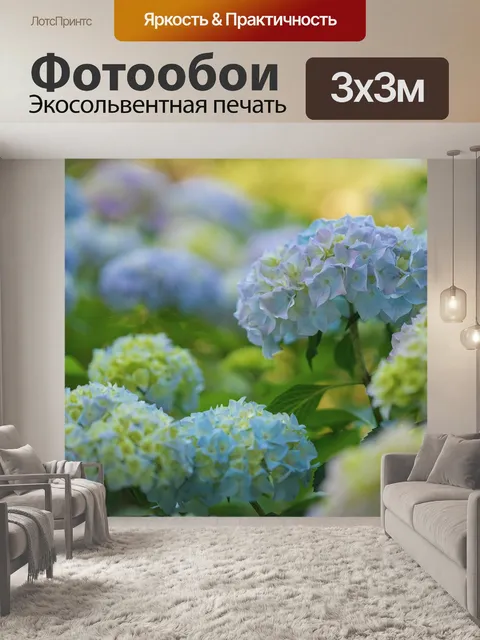 Фотообои Гортензии