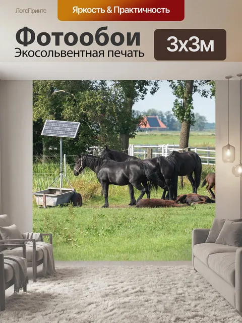 Фотообои Лошади