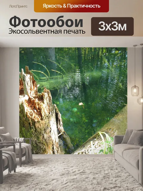 Фотообои Сломанного дерева