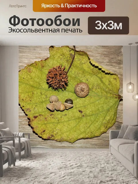 Фотообои Осенняя коллекция на листе