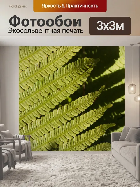 Фотообои Папоротник