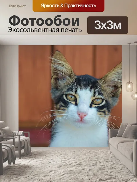 Фотообои Кошка