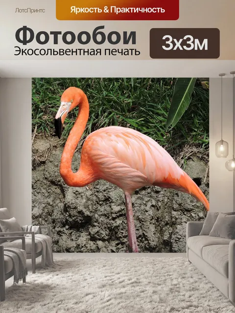 Фотообои Фламинго