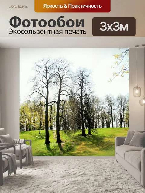 Фотообои Деревья