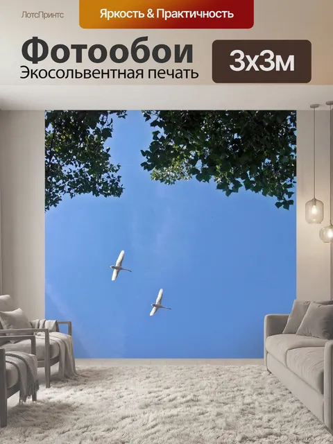 Фотообои Лебеди