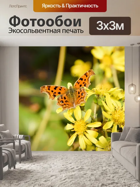 Фотообои Бабочка