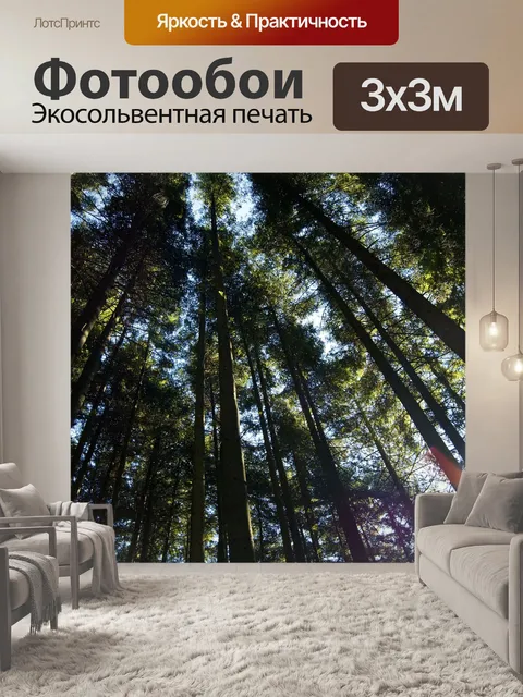 Фотообои Леса