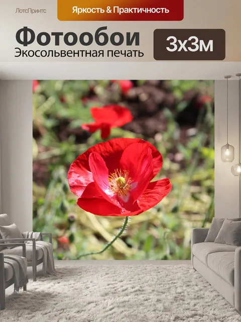 Фотообои Ботанический