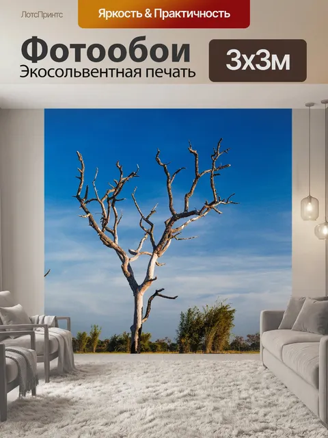 Фотообои Мертвое дерево, силуэт дерева