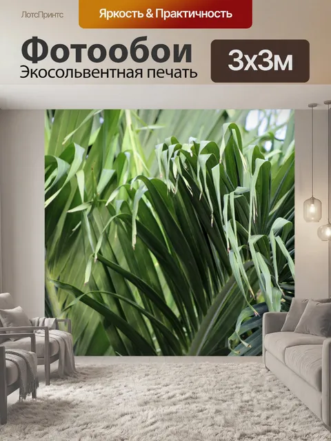 Фотообои Тропические пальмовые листья фон