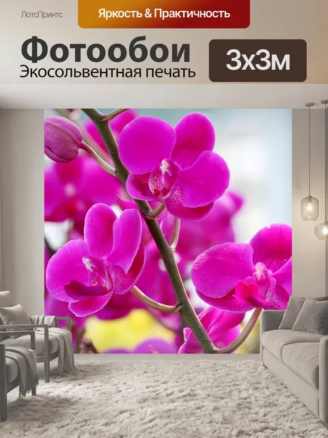 Фотообои Розовый