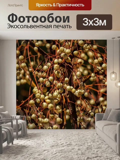 Фотообои Фрукты