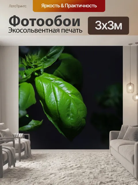 Фотообои свет на листе базилика