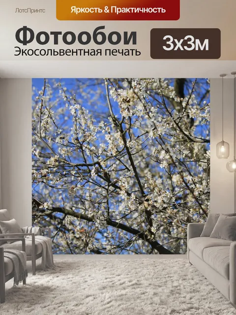 Фотообои Фон