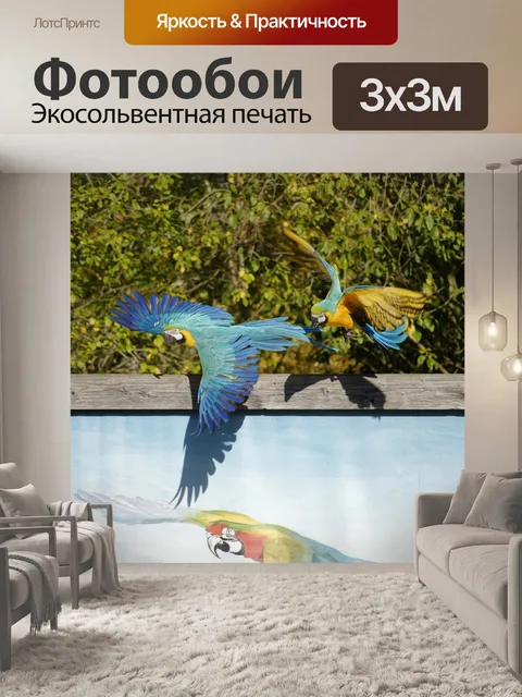 Фотообои Попугаи