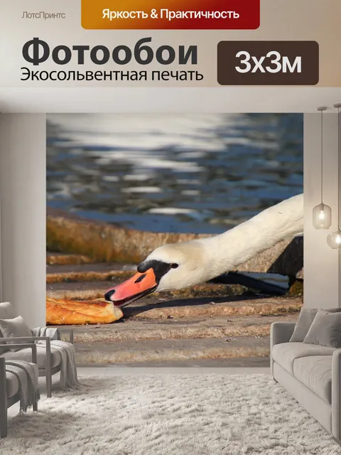 Фотообои Лебеди