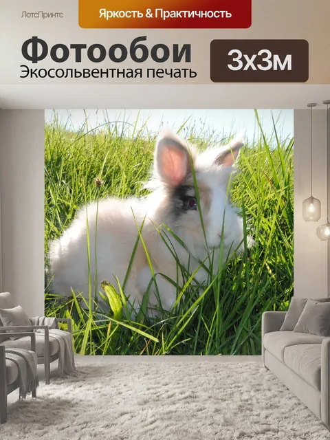 Фотообои Кролик
