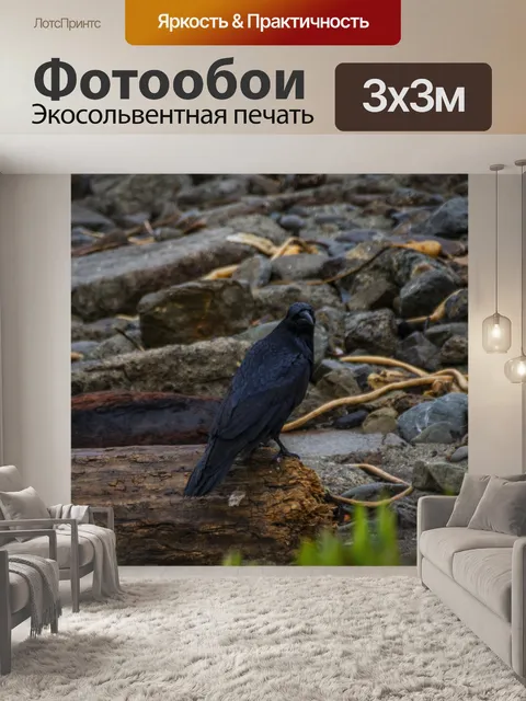 Фотообои ворона