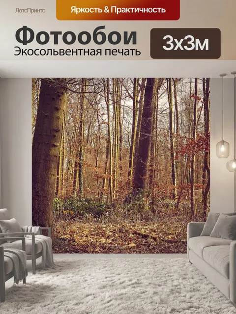 Фотообои Лес