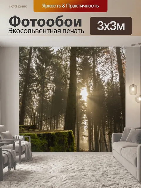 Фотообои Лес