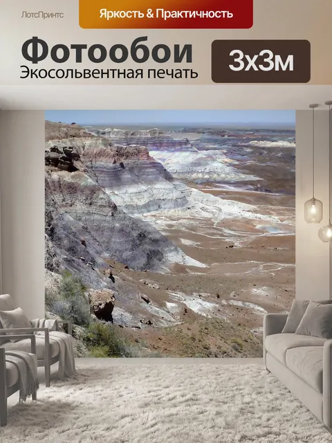 Фотообои Окаменел