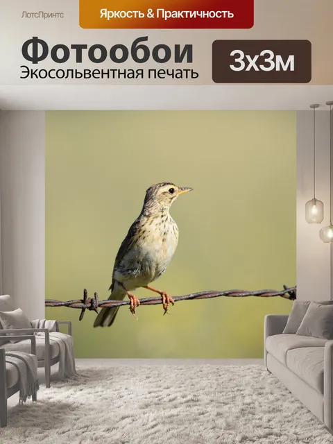 Фотообои Птица