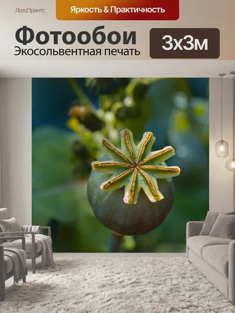 Фотообои Природа