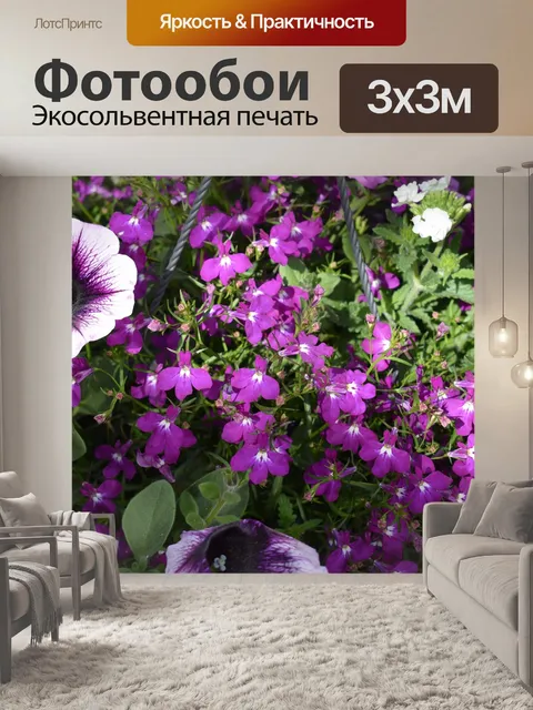 Фотообои Лила