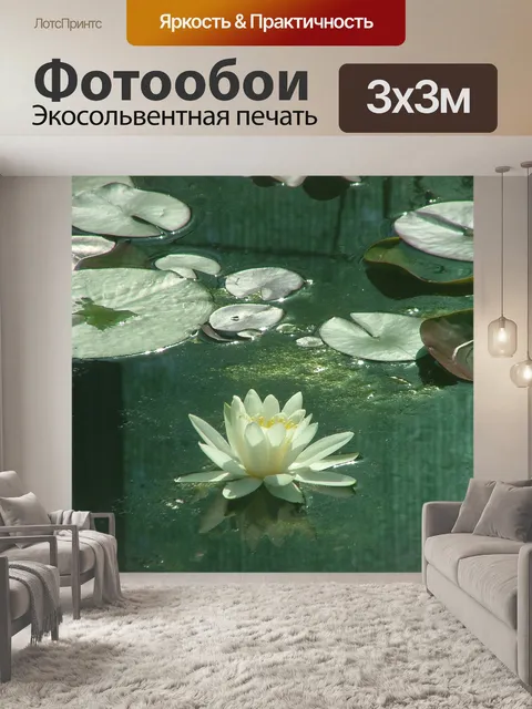 Фотообои Водяная лилия