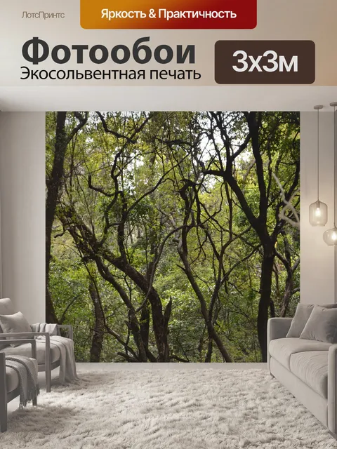 Фотообои Деревья