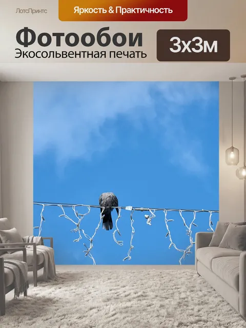 Фотообои Голубь на проводе