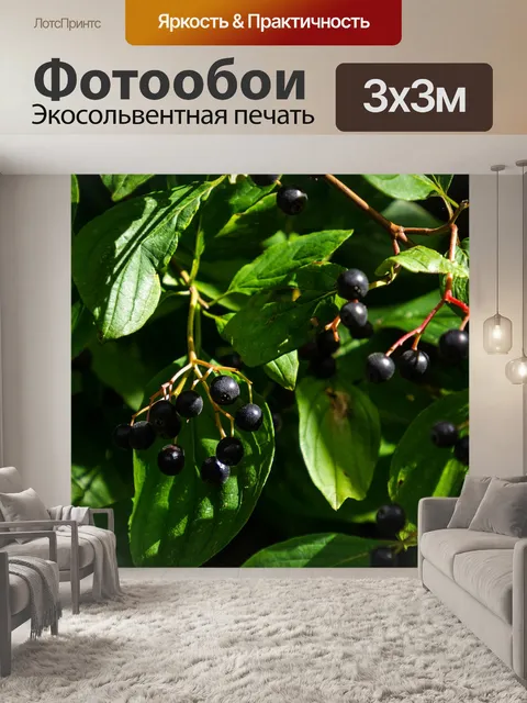 Фотообои Ягоды