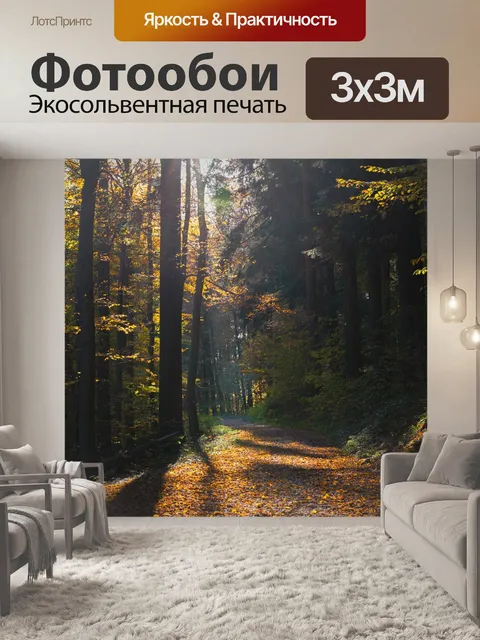 Фотообои Лес