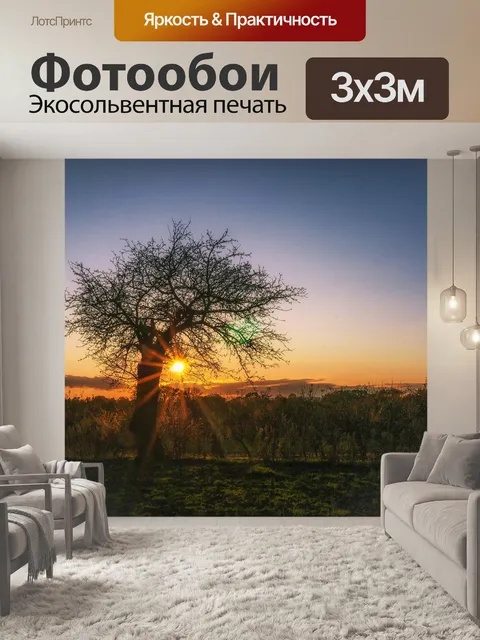 Фотообои Дерево