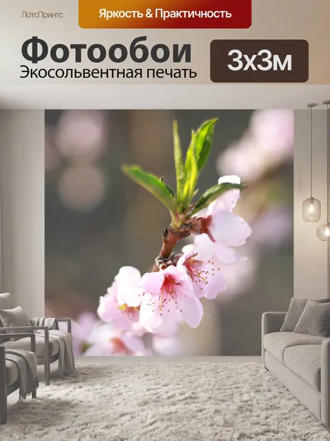 Фотообои Цвет