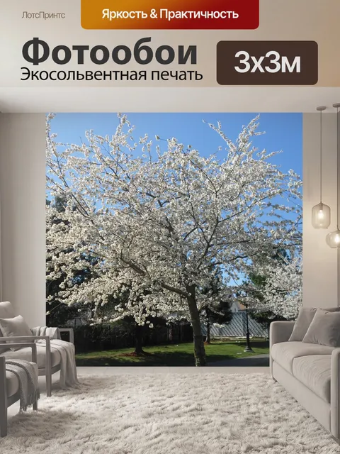 Фотообои Весна