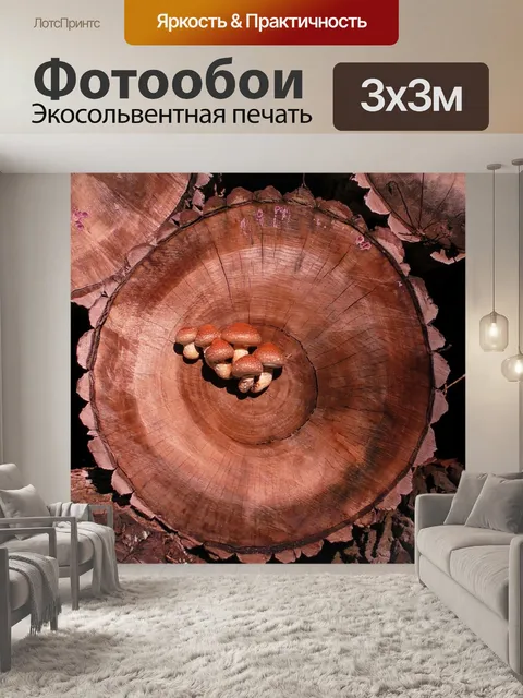 Фотообои Гриб