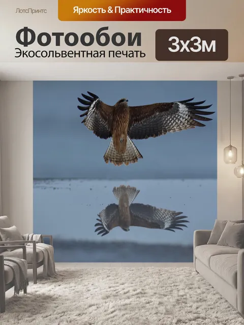 Фотообои Животное