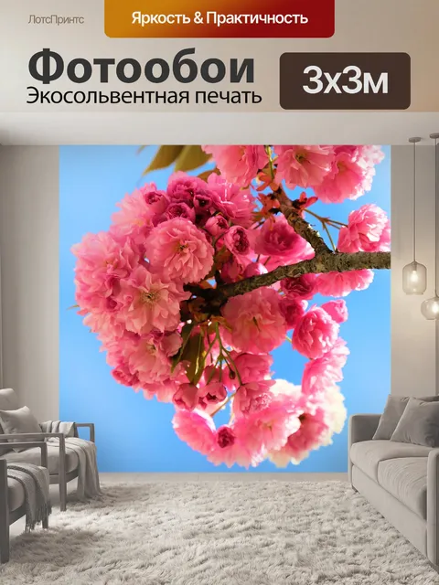 Фотообои Цветы