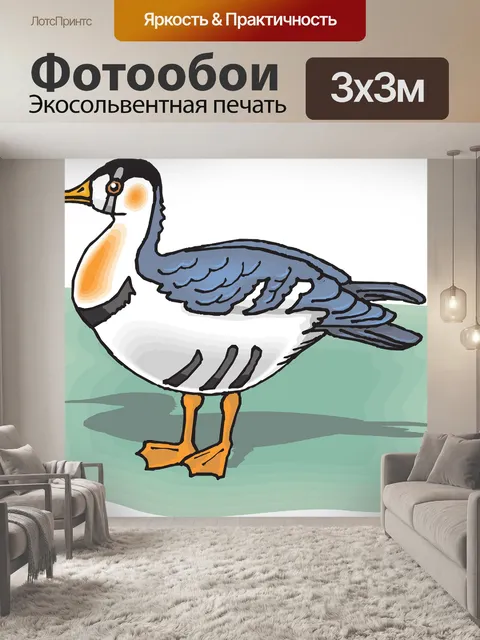 Фотообои Тень
