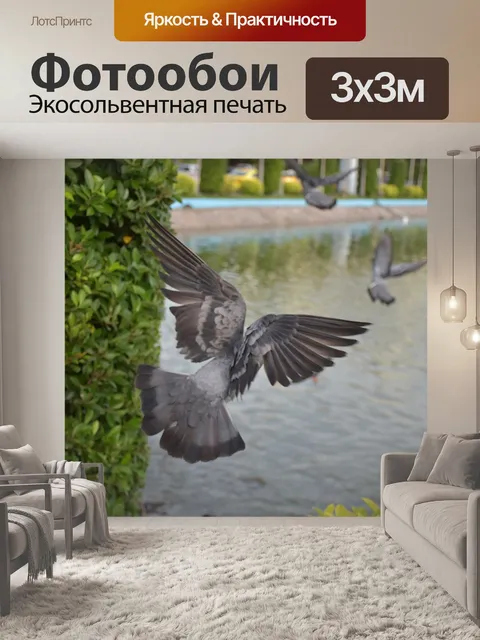 Фотообои Птица
