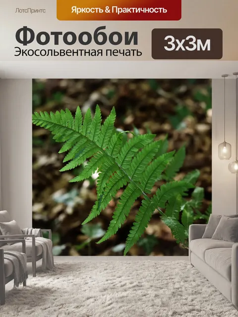 Фотообои Папоротник