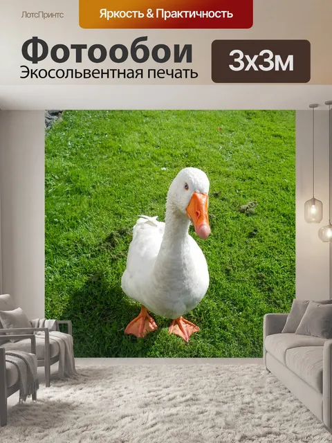 Фотообои Гусь