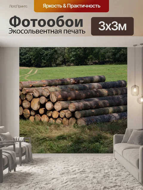 Фотообои Букет из поваленных деревьев