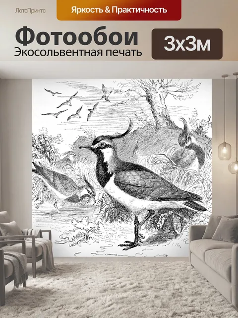 Фотообои Чибис